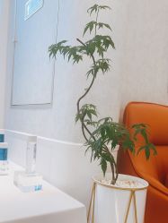 -YESIDO椰岛美容