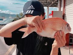 -东山码头
