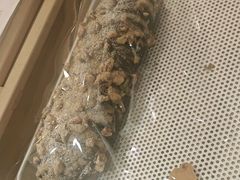 -格瑞思动物奶油生日蛋糕(圆融店)