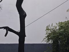 -张謇纪念馆