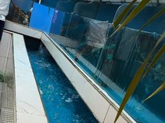 -永安水煮活鱼·仪征土菜院子