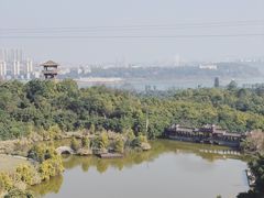 -张坝桂圆林公园