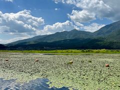 -腾冲北海湿地