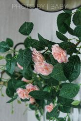 -瑜舍瑜伽连锁教室