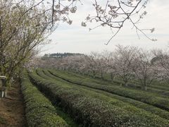 -凤凰沟景区