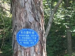 -萨尔浒风景区