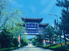 -西霞口神雕山野生动物世界