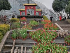 -南山植物园