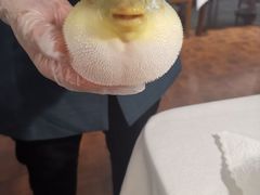 -肆月河豚·新淮扬(金融街店)