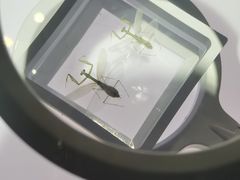 -上海昆虫博物馆