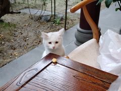 -香园自助小火锅