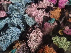 -秦美花卉(天朗·莱茵小城2期店)