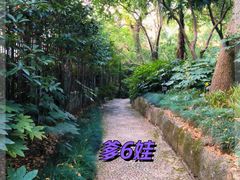 -中山公园