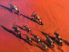 -罗红摄影艺术馆