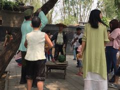 -白洋淀景区