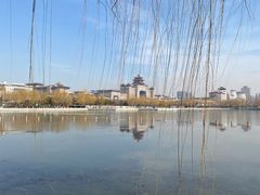 -莲花池公园