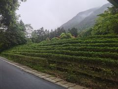 -姑婆山旅游区