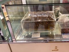 -三江源牌冬虫夏草(中山北路店)