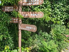 景观位-天怡·鱼工厂(临江店)
