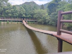-黄陂区野村谷景区