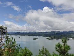 -浔味·山屿湖·正宗淳牌全鱼宴老字号