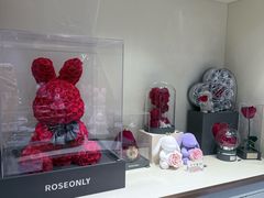 -ROSEONLY诺誓(磐基中心店)