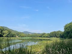 -茅家埠