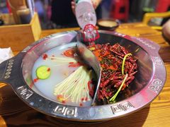 鸳鸯锅底-张嬢嬢老火锅(壹号店•六年店)