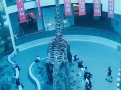 -辽宁古生物博物馆