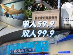 -重庆欢乐海底世界