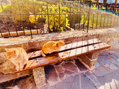 -梅黛奥拉修道院