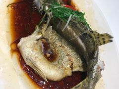 -至潮餐厅精致粤菜·活鲈鱼·走地鸡(珠江新城店)