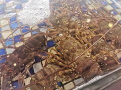 -顺德了能馆(虎门店)