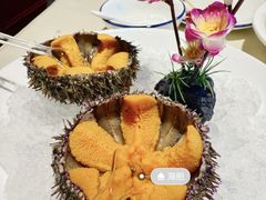 -老大连·海肠捞饭·大连海鲜大连菜(西安路店)