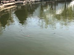 -酷鱼垂钓CLUB(朝阳区博大路店 )