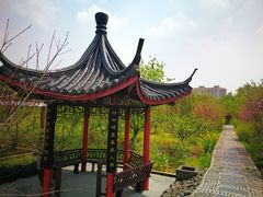 -南汇桃花村