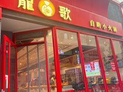 -龍歌自助小火锅(漳州二路爱购店)