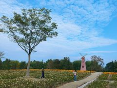 -同里国家湿地公园