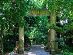 -上海佘山国家森林公园天马山园