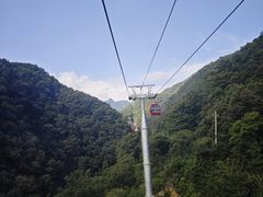 -栾川竹海野生动物园