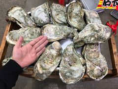 -蚝专家(北滘店)