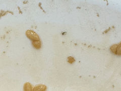 -红糖水都·女生特炖·中式滋补炖(北辰店)