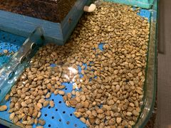 -西贝海鲜汇(槐安路店)