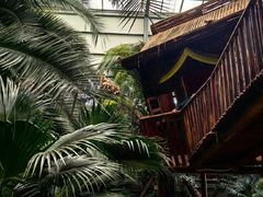 -呀路古热带植物园