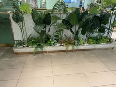-春润大地海南椰子鸡(沙井京基百纳广场店)