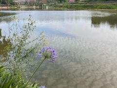 -汝萍传统蘸水菜(春华路总店)