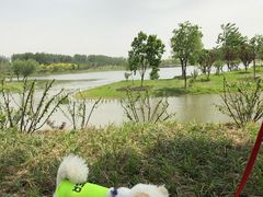 -东郊湿地公园