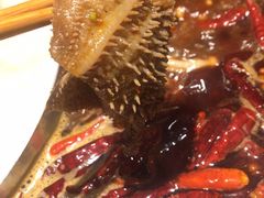 -红辣椒·川菜·火锅(大洋中心店)
