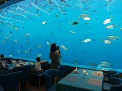 -瑞德姆美人鱼海底演艺主题餐厅(亚龙湾店)