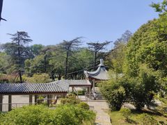 -南京古林公园